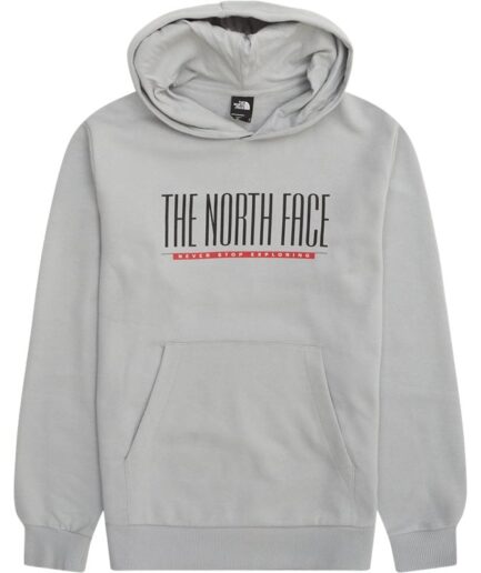 The North Face Tnf Est  Hoodie Grå