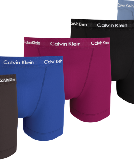 Calvin Klein pack TrunksLarge