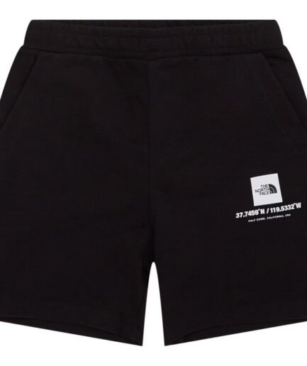 The North Face Coordinates Shorts Sort