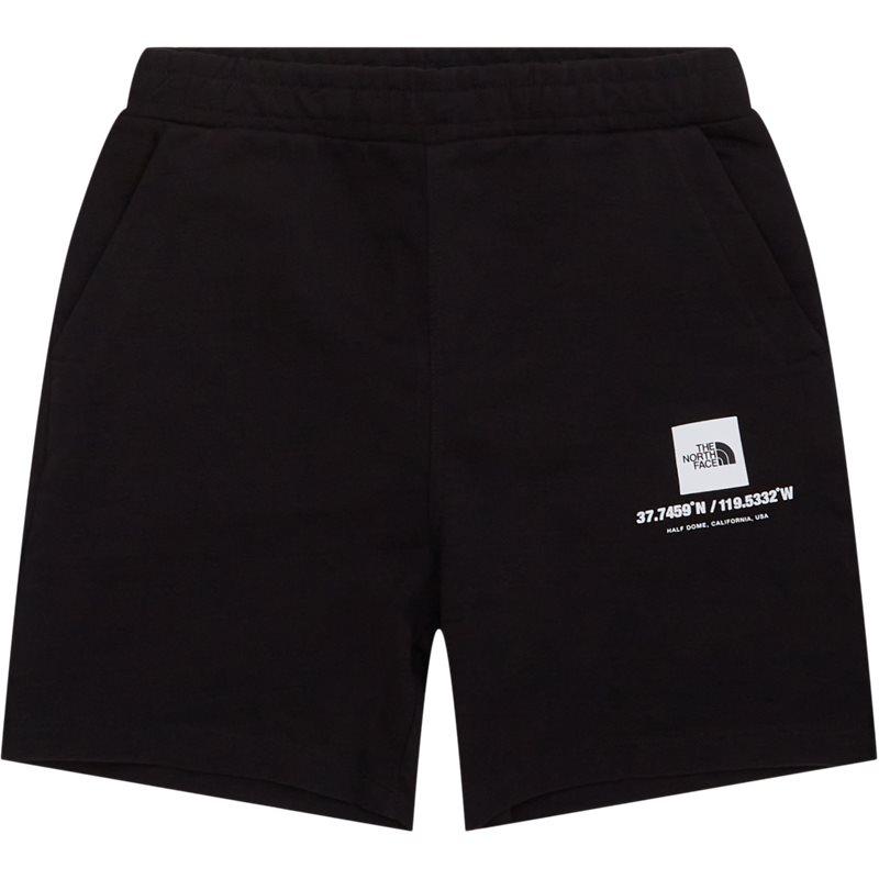 The North Face Coordinates Shorts Sort