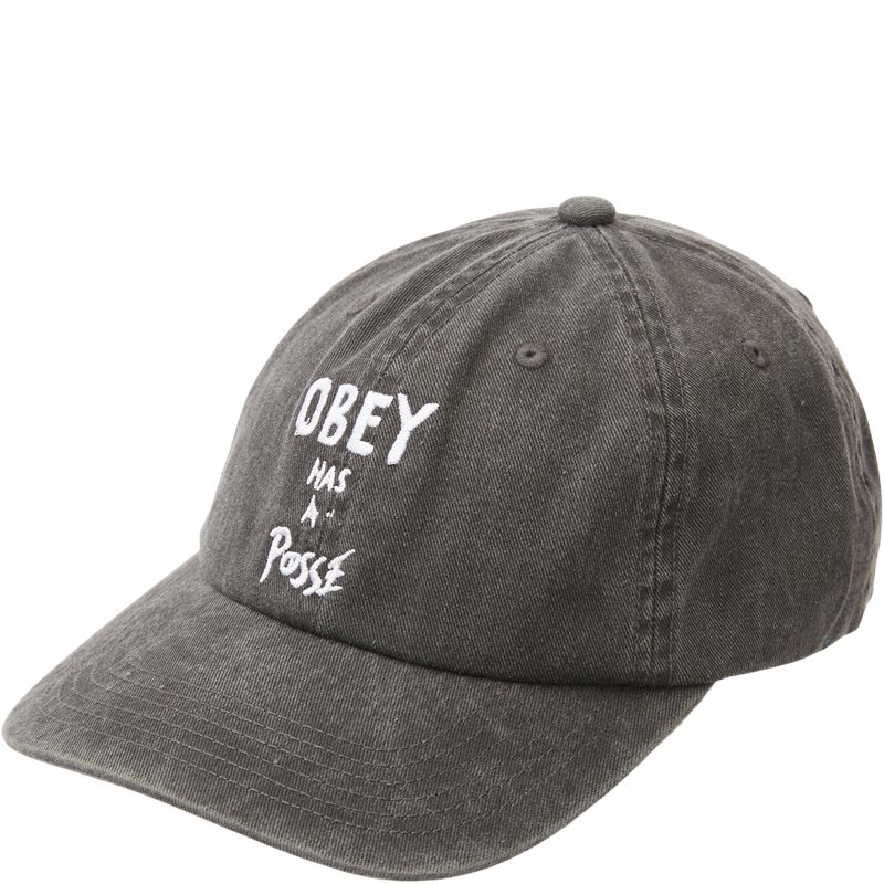 Obey Pigment Posse  Panel Cap Sort